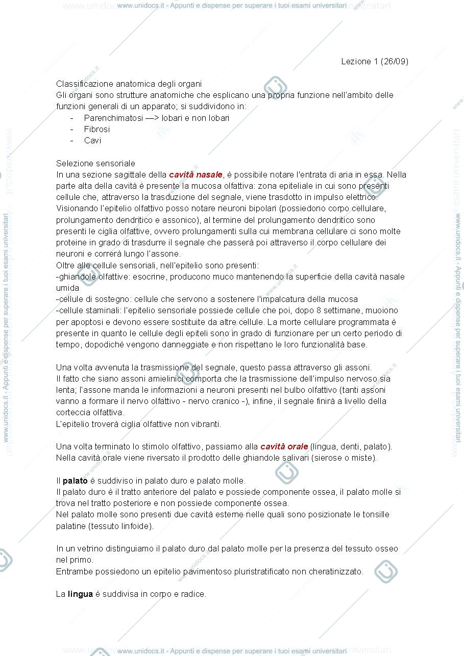 Anteprima pagina 1 — Basi strutturali 