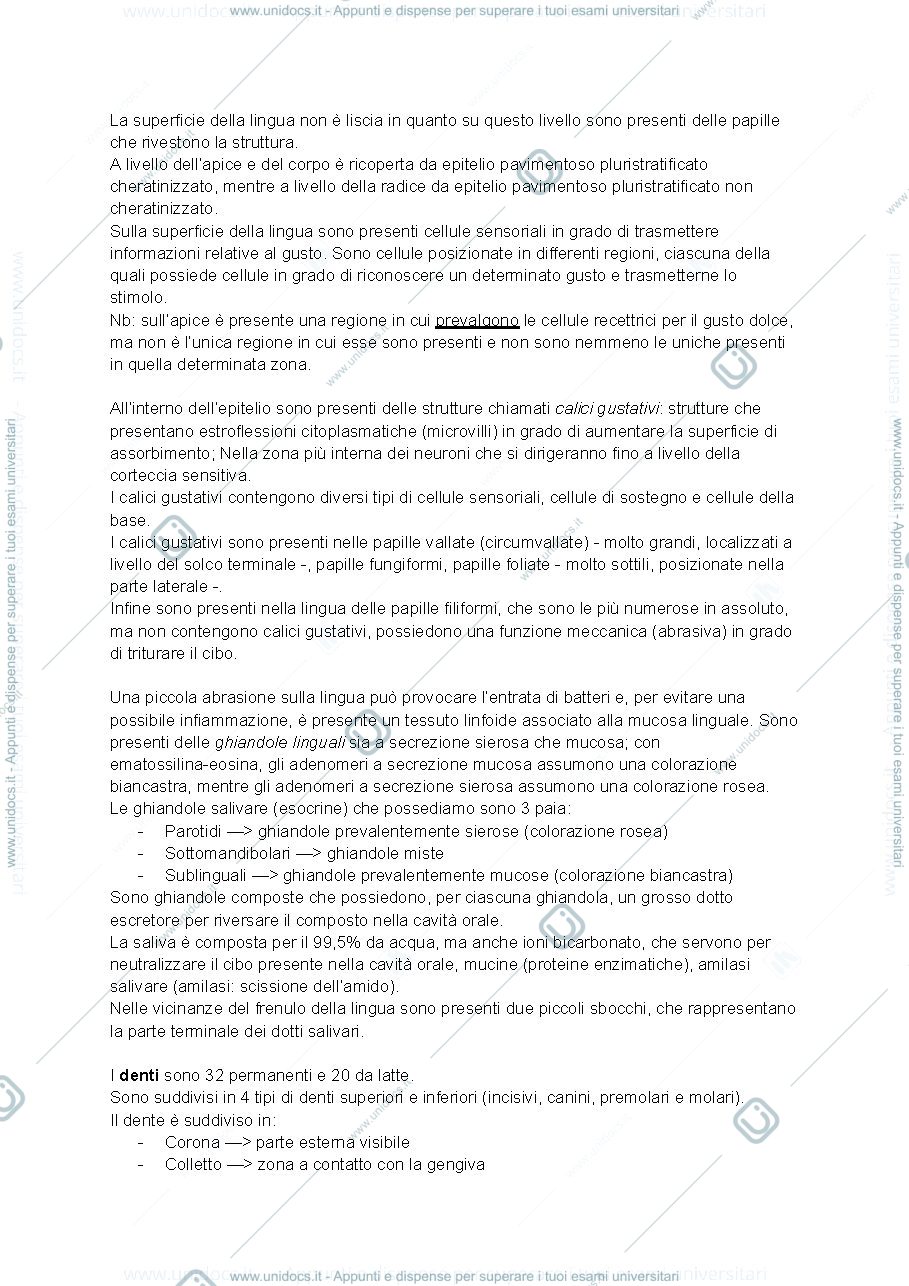 Anteprima pagina 2 — Basi strutturali 