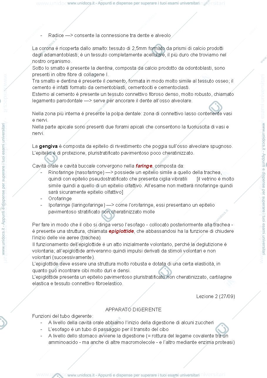 Anteprima pagina 3 — Basi strutturali 