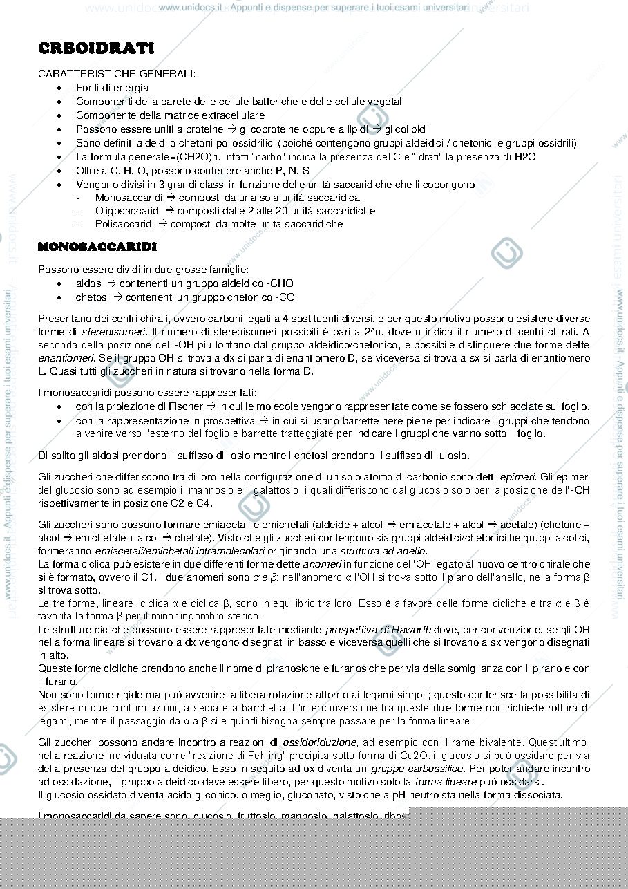 Anteprima pagina 1 — CARBOIDRATI