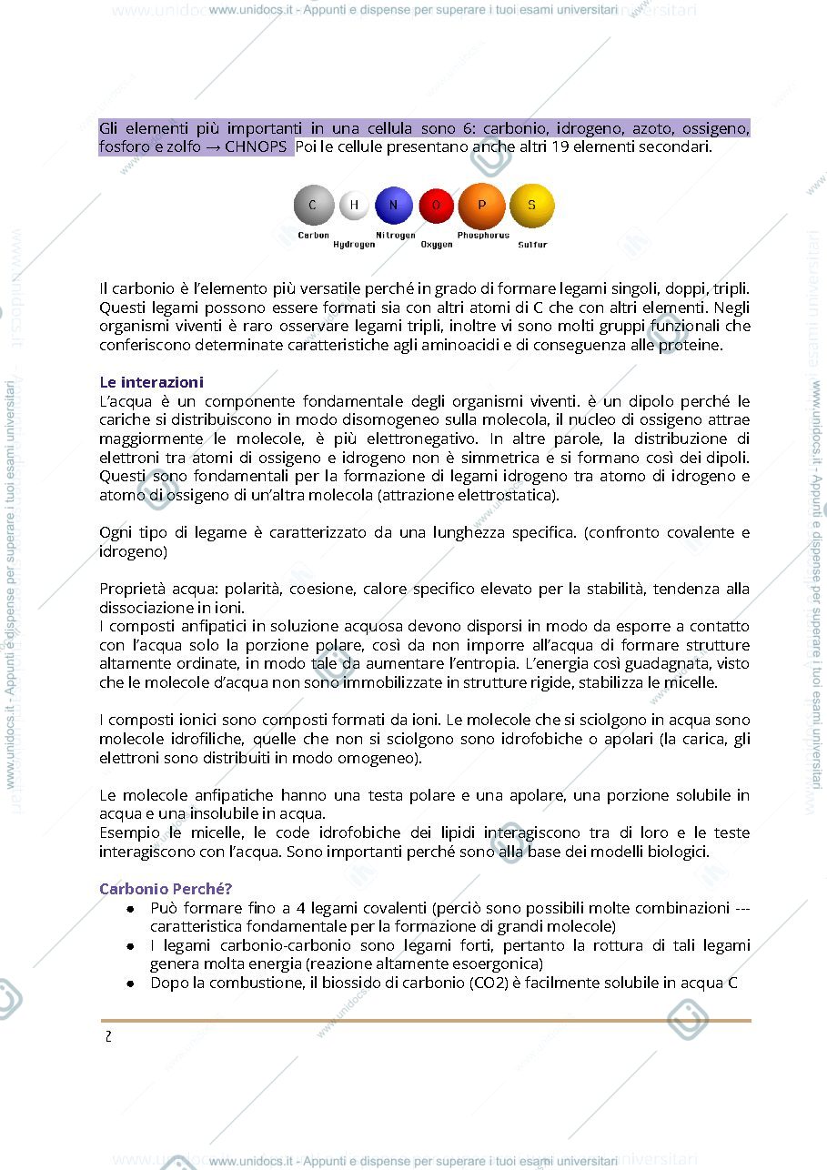 Anteprima pagina 2 — Biochimica1 