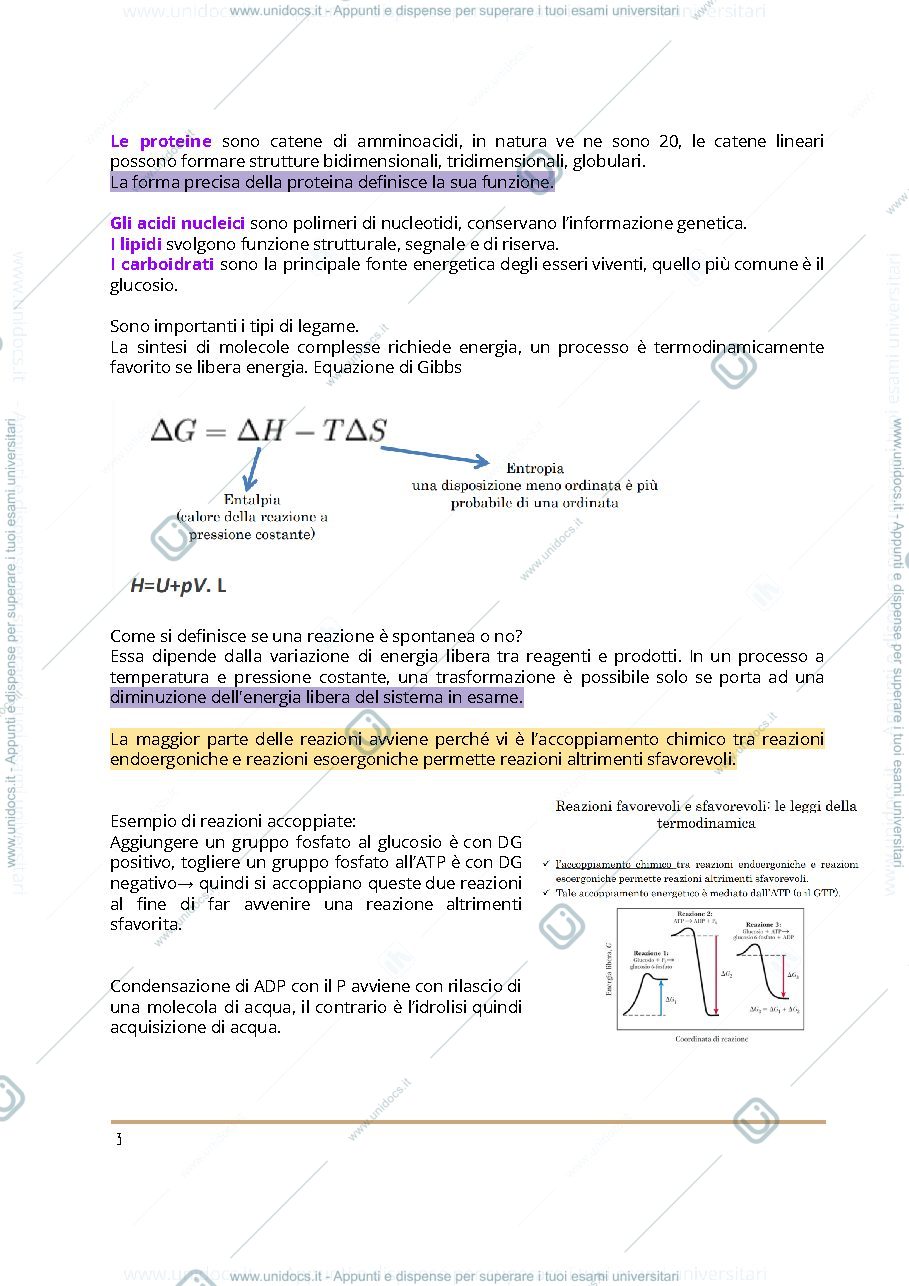 Anteprima pagina 3 — Biochimica1 