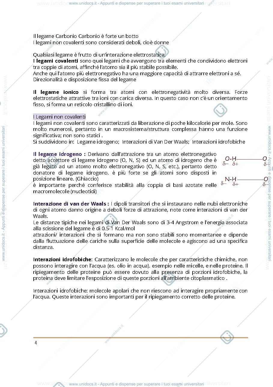 Anteprima pagina 4 — Biochimica1 