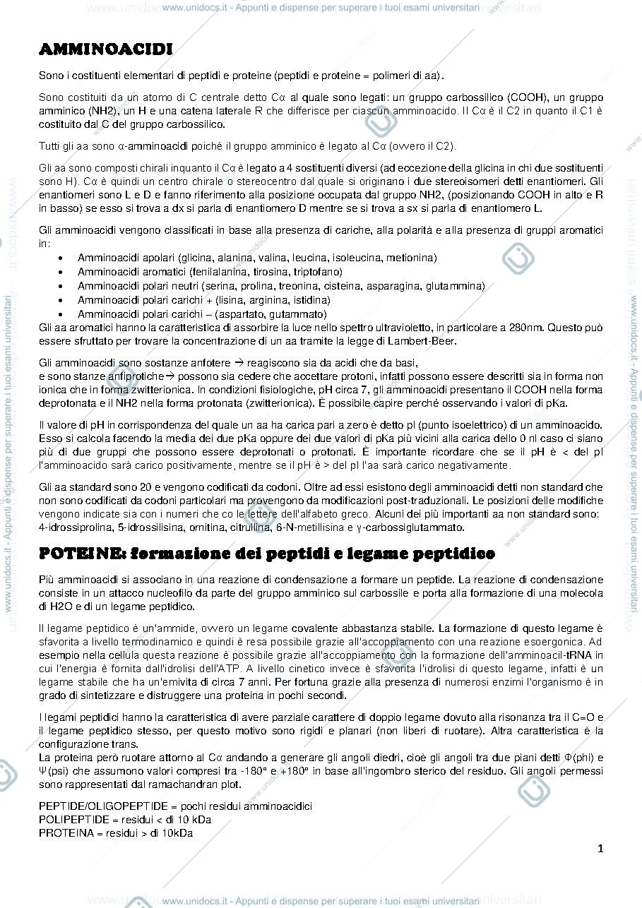 Anteprima pagina 1 — le proteine