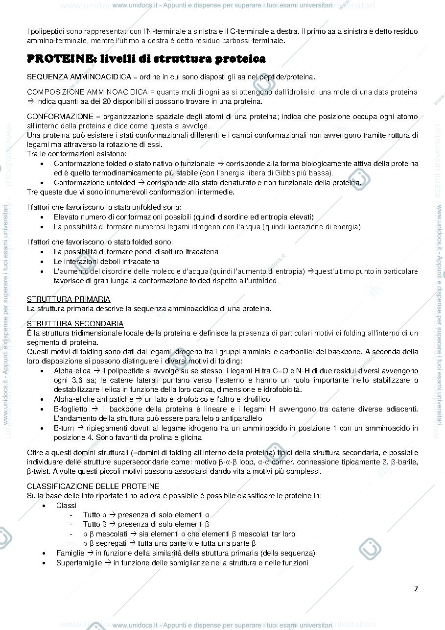 Anteprima pagina 2 — le proteine