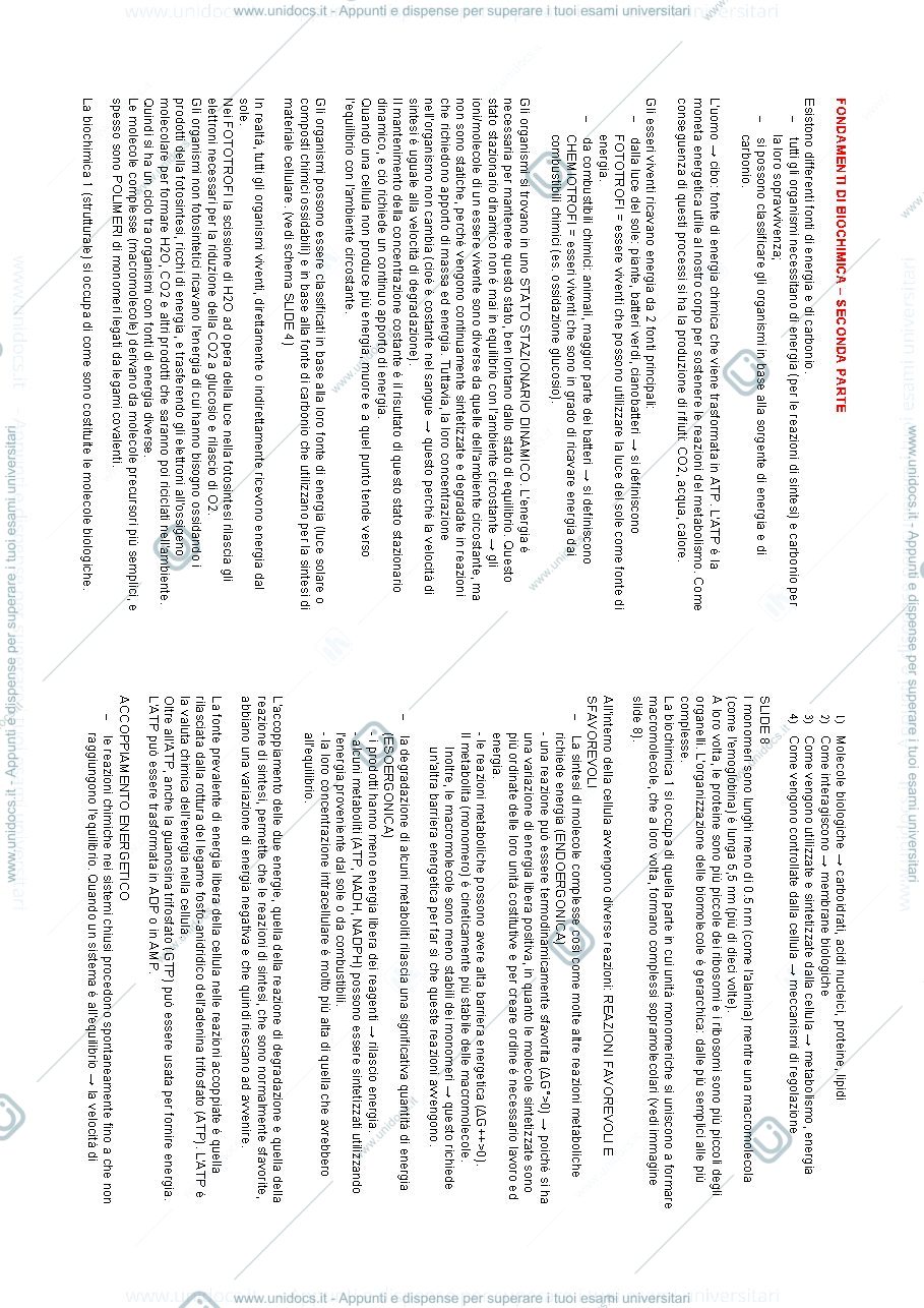 Anteprima pagina 3 — appunti biochimica 1
