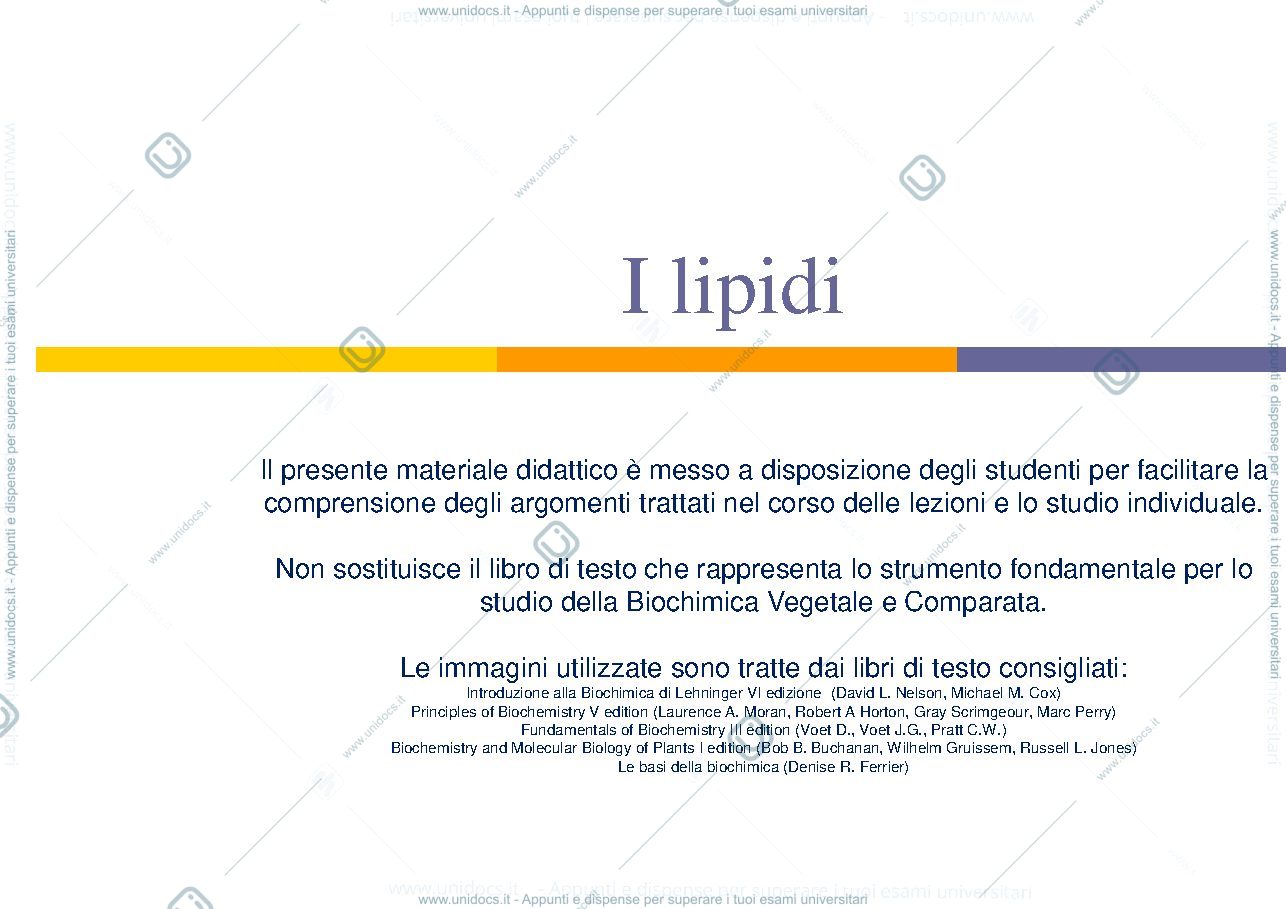 Anteprima pagina 1 — Lipidi