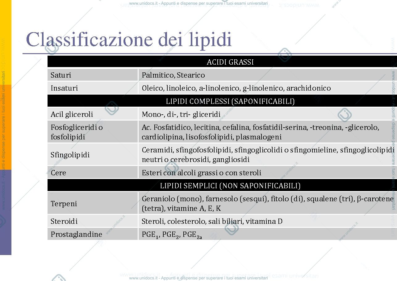 Anteprima pagina 2 — Lipidi