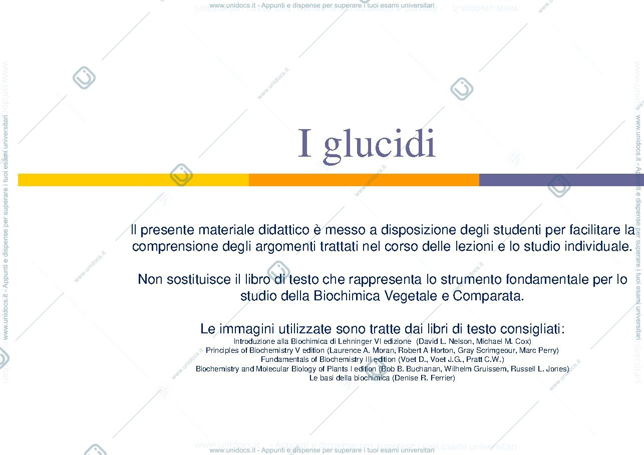 Anteprima pagina 1 — Carboidrati