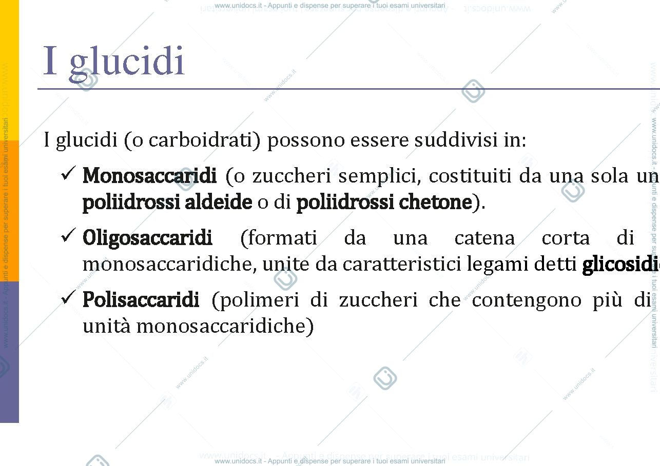 Anteprima pagina 2 — Carboidrati