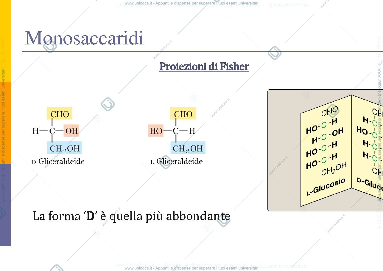 Anteprima pagina 3 — Carboidrati
