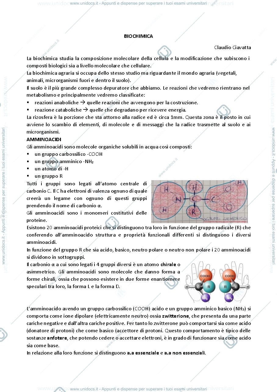Anteprima pagina 1 — bio