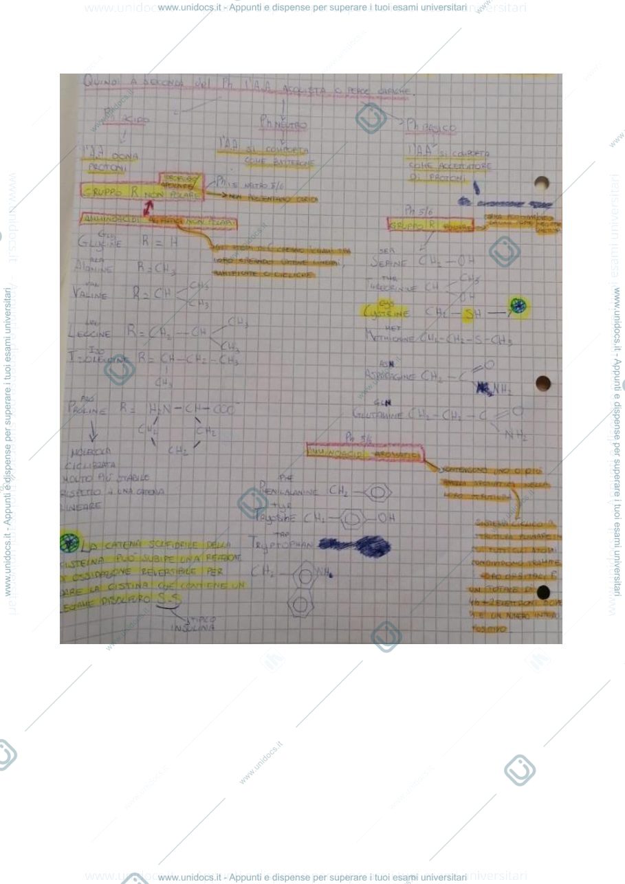 Anteprima pagina 2 — bio