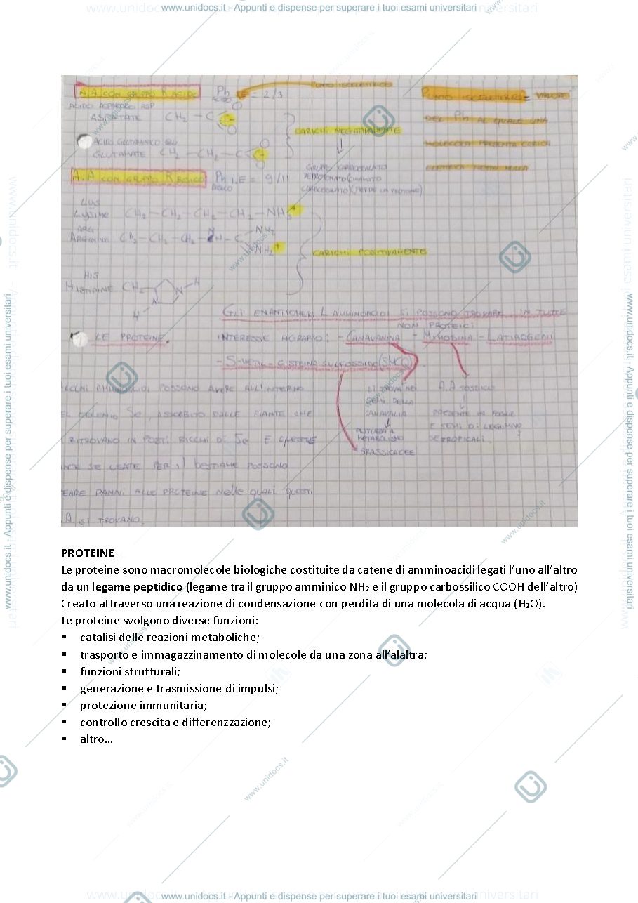 Anteprima pagina 3 — bio