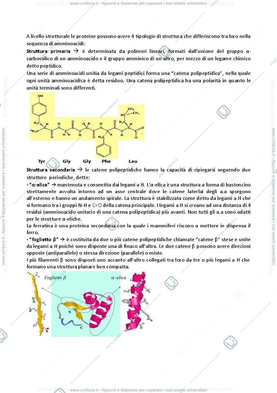 Anteprima pagina 4 — bio