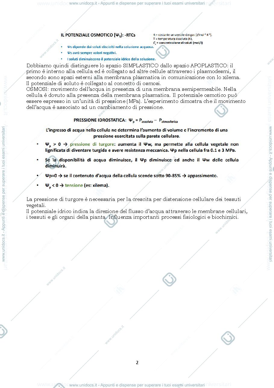 Anteprima pagina 2 — biochimica agraria e fisiologia delle piante officinali 