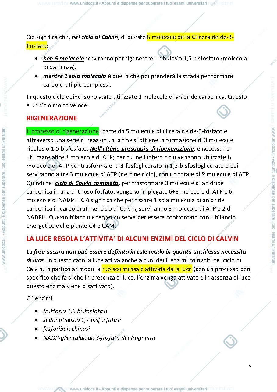 Anteprima pagina 5 — BIOCHIMICA AGRARIA E FISIOLOGIA DELLE PIANTE  