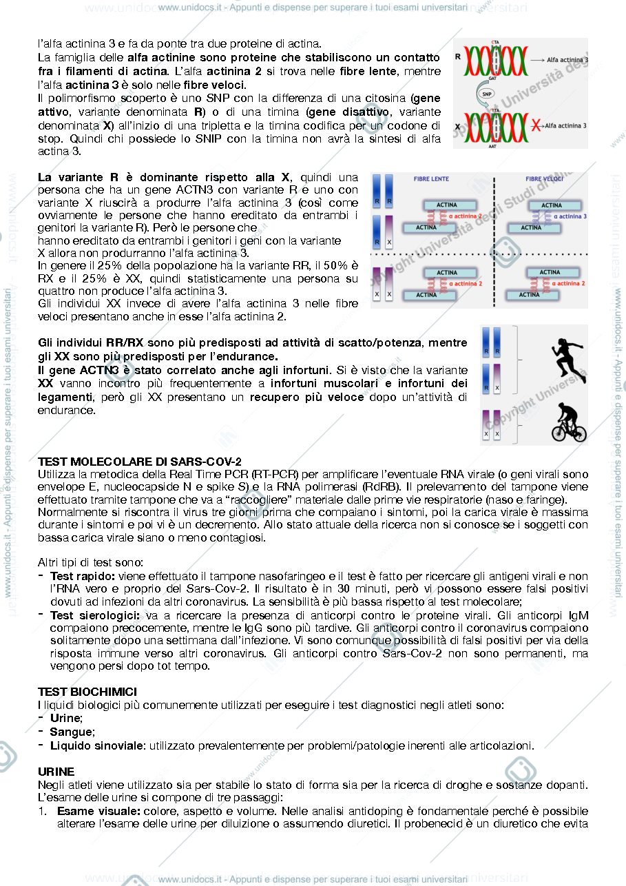 Anteprima pagina 3 — Appunti di biochimica clinica per il secondo anno di scienze motorie