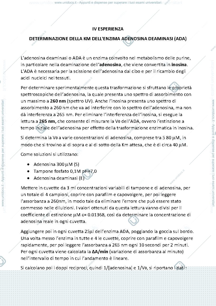 Anteprima pagina 1 — DETERMINAZIONE DELLA KM DELL'ENZIMA ADA