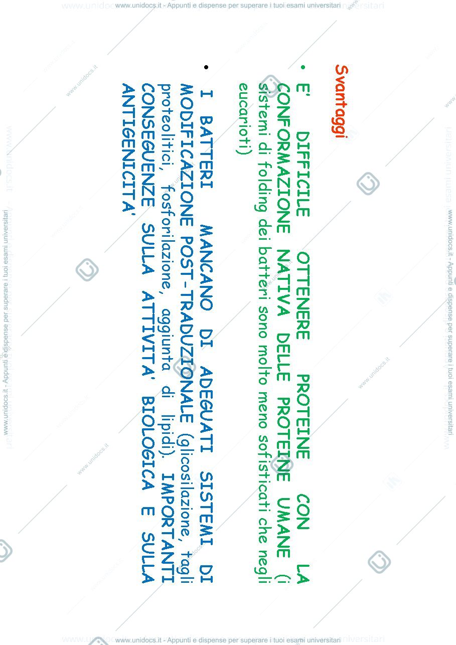 Anteprima pagina 4 — Slide biochimica applicata