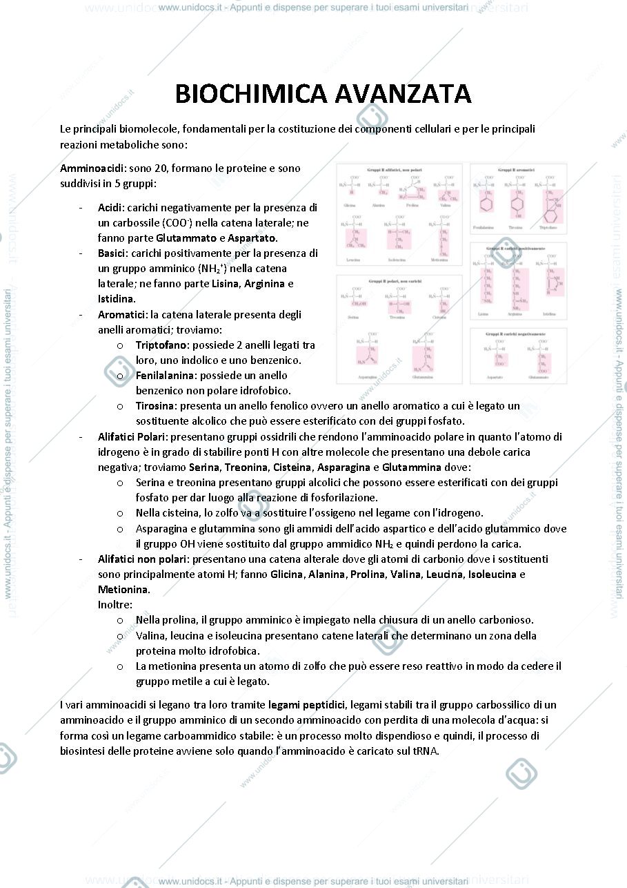 Anteprima pagina 1 — BIOCHIMICA AVANZATA 20/21