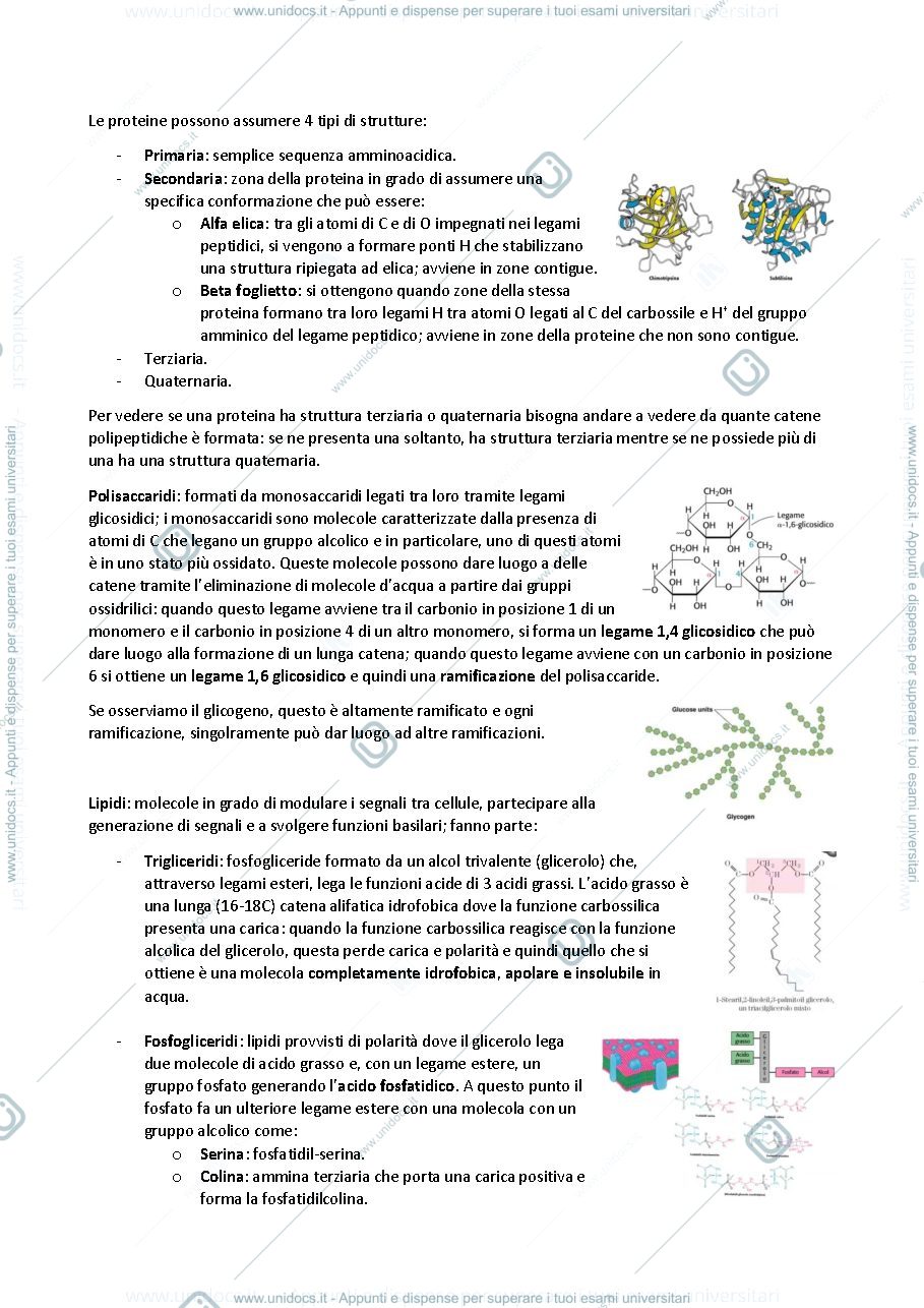 Anteprima pagina 2 — BIOCHIMICA AVANZATA 20/21