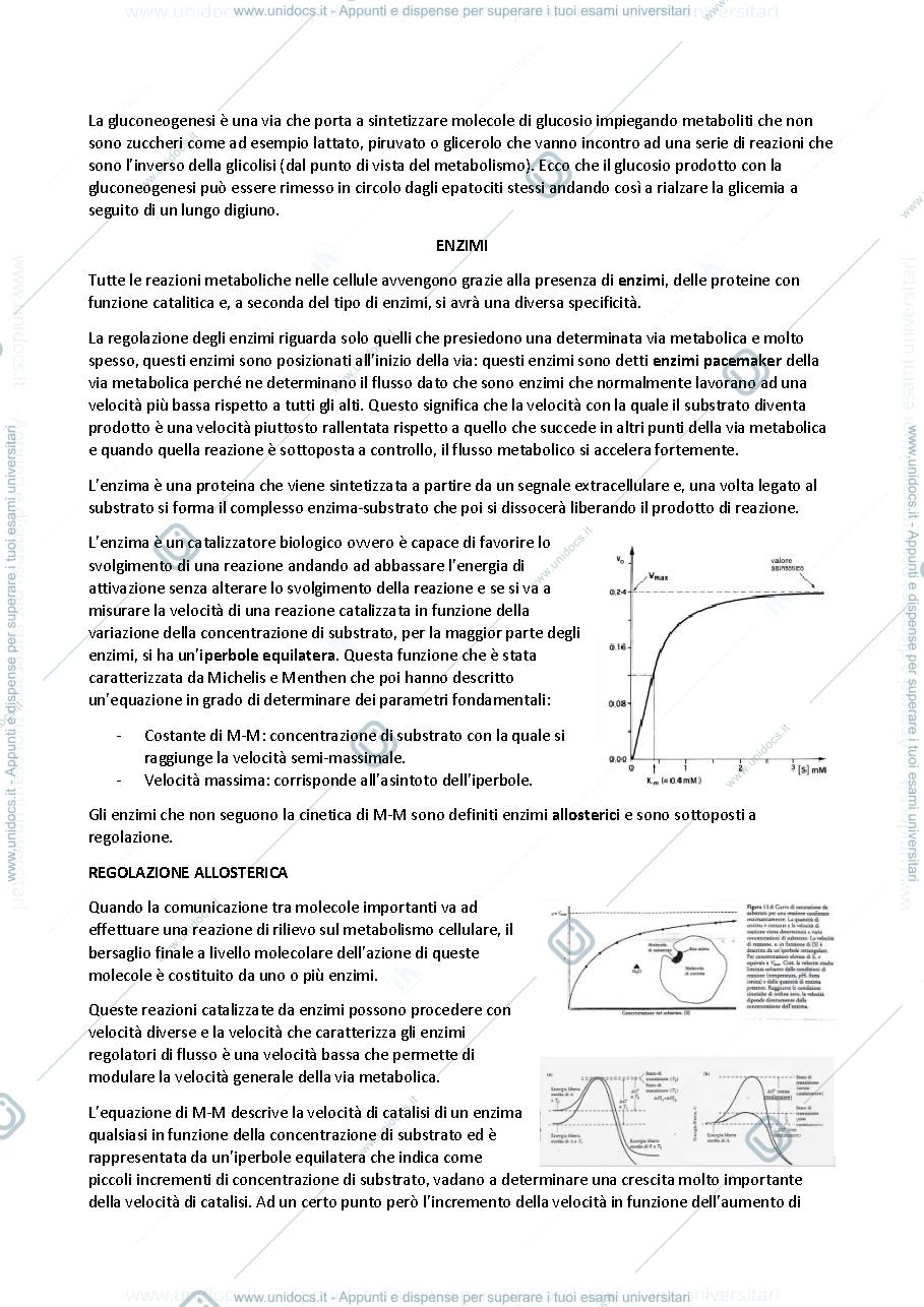 Anteprima pagina 4 — BIOCHIMICA AVANZATA 20/21