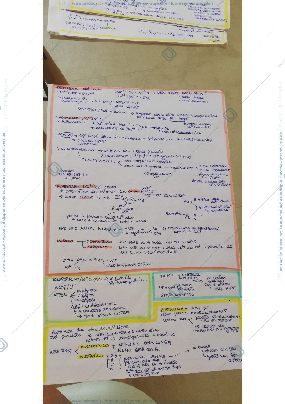 Anteprima pagina 1 — Schemi di recap Biochimica Avanzata prof. BRUNI