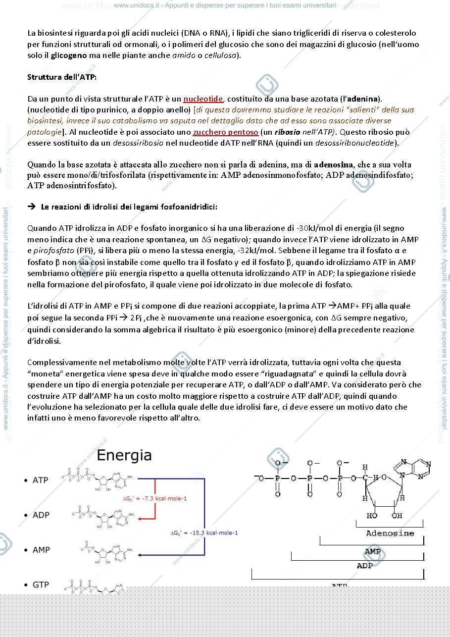 Anteprima pagina 5 — Biochimica dispense