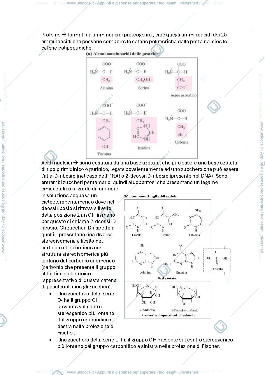Anteprima pagina 2 — Biochimica avanzata