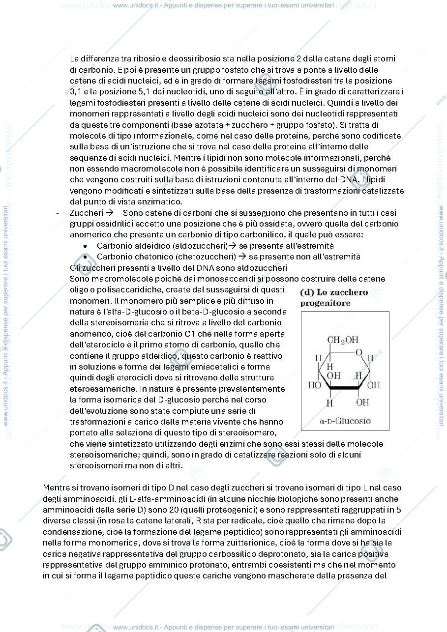 Anteprima pagina 3 — Biochimica avanzata