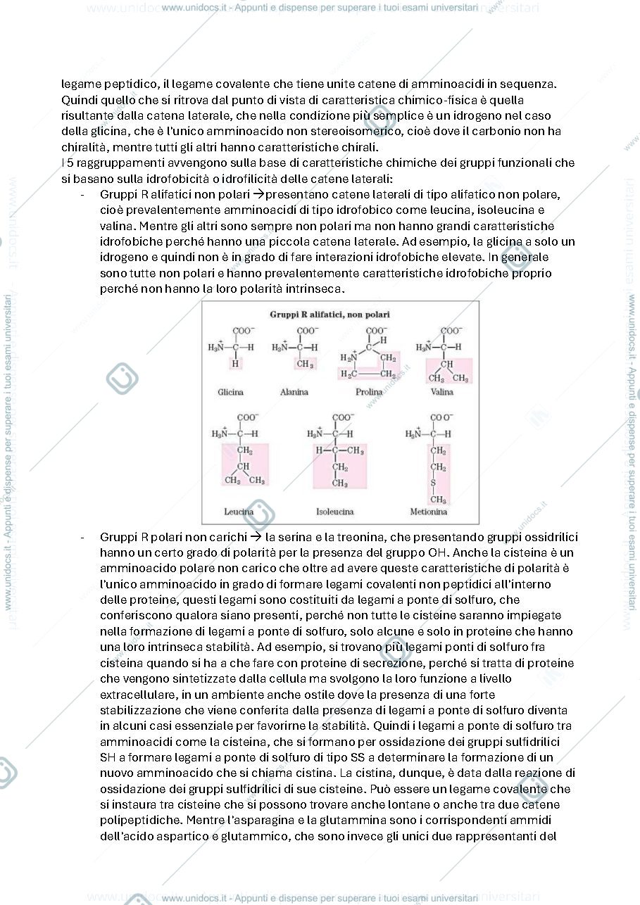 Anteprima pagina 4 — Biochimica avanzata
