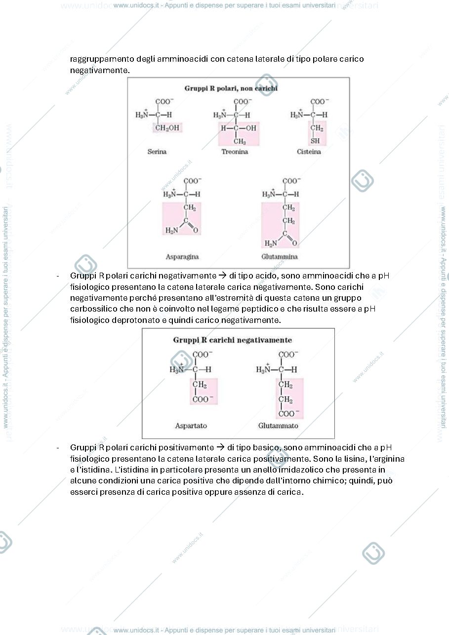 Anteprima pagina 5 — Biochimica avanzata