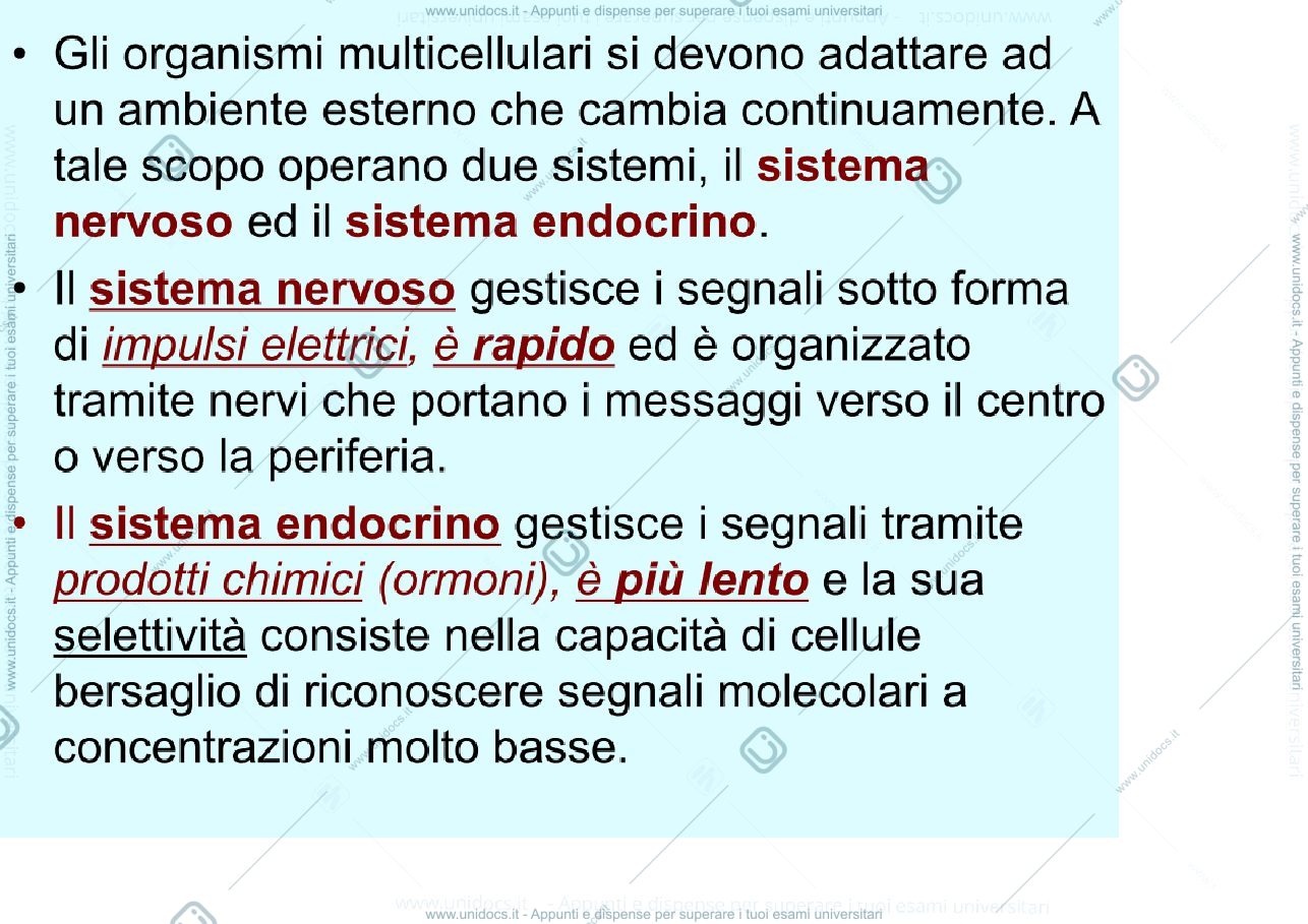 Anteprima pagina 2 — Trasduzione del segnale