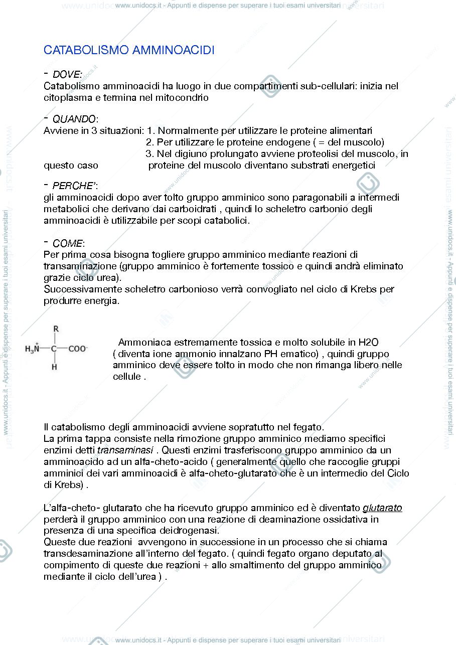 Anteprima pagina 1 — biochimica clinica