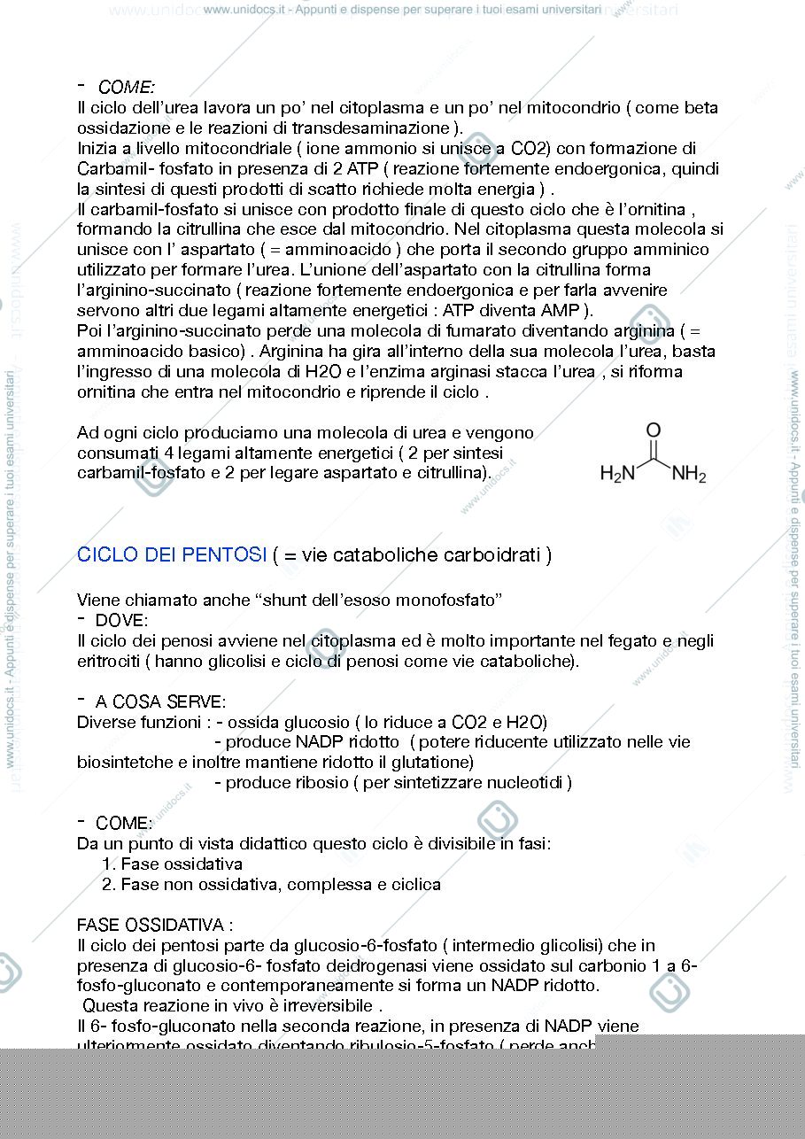 Anteprima pagina 3 — biochimica clinica