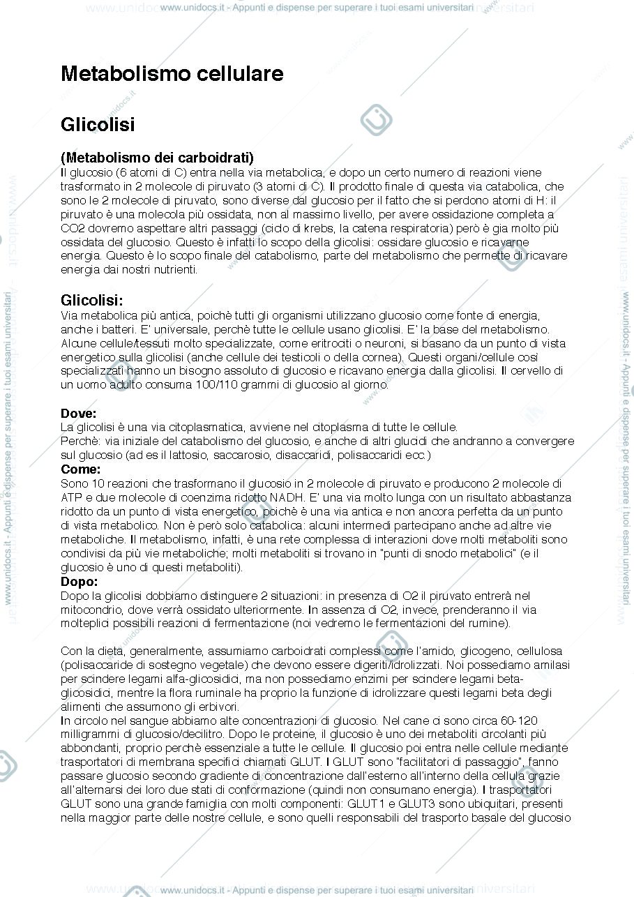 Anteprima pagina 1 — Metabolismo cellulare