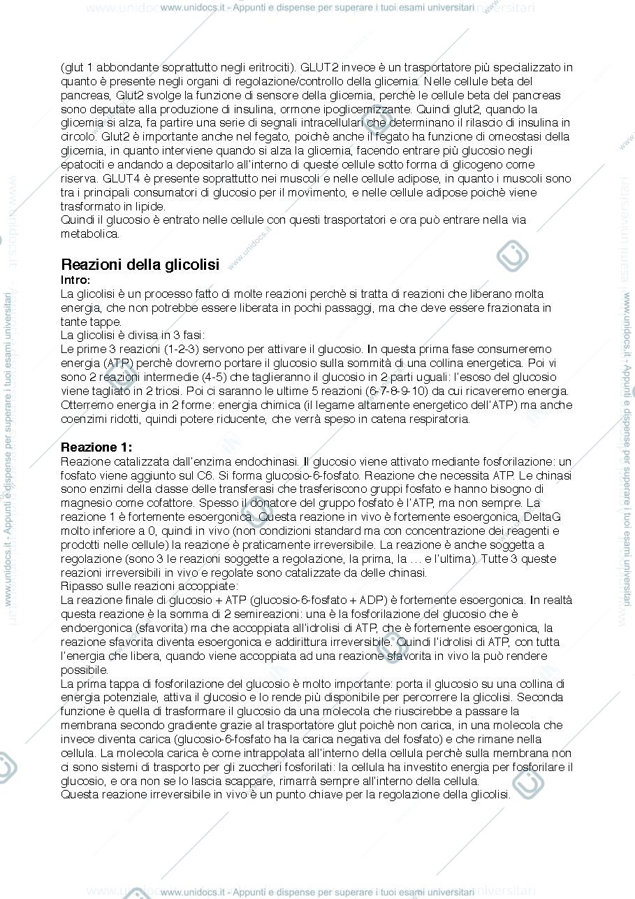 Anteprima pagina 2 — Metabolismo cellulare