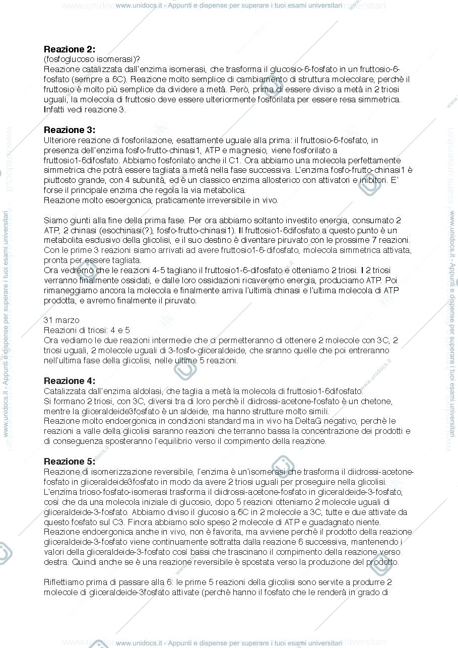 Anteprima pagina 3 — Metabolismo cellulare