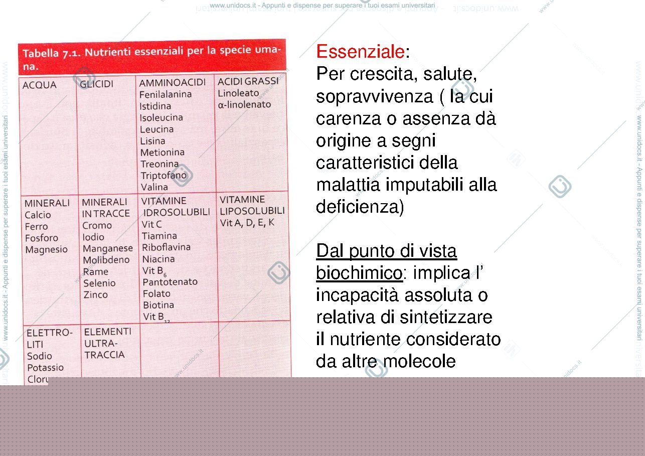 Anteprima pagina 4 — I nutrienti ed il metabolismo energetico
