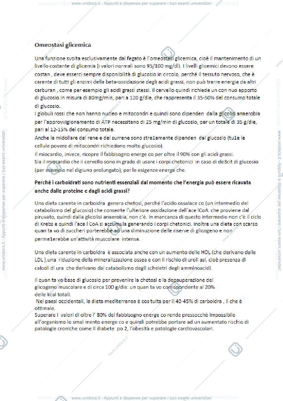 Anteprima pagina 1 — lezione 2 prof romano