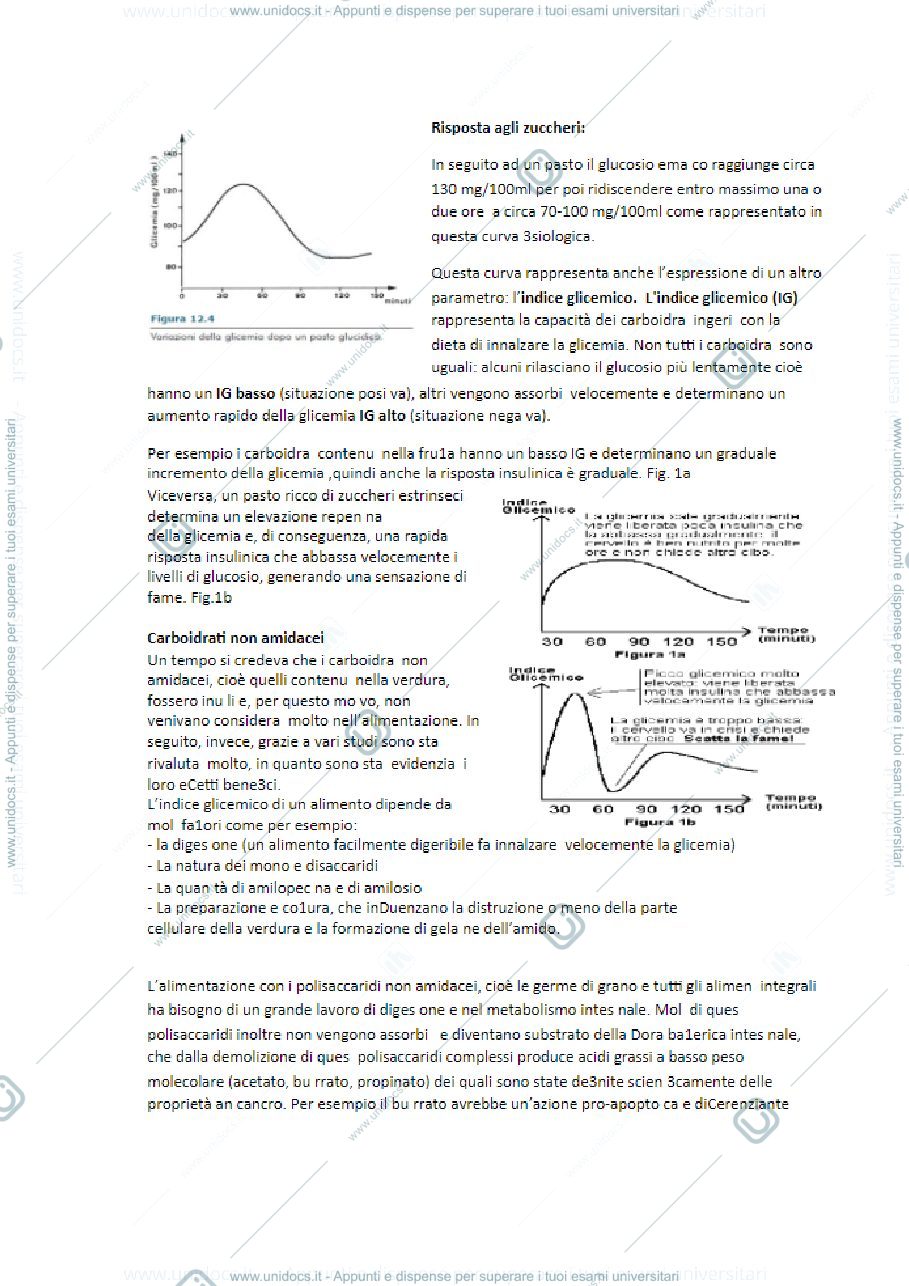 Anteprima pagina 2 — lezione 2 prof romano