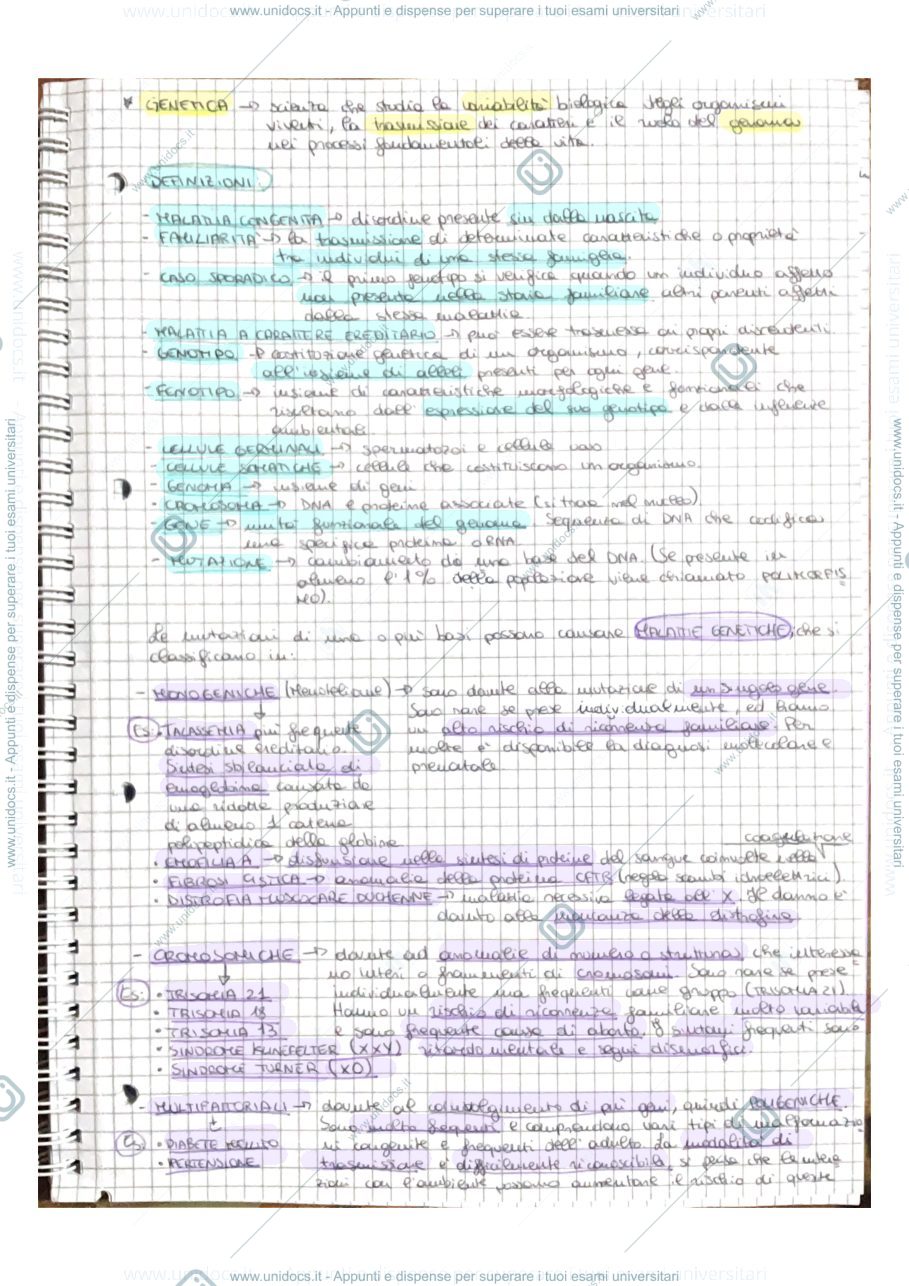Anteprima pagina 2 — Genetica 
