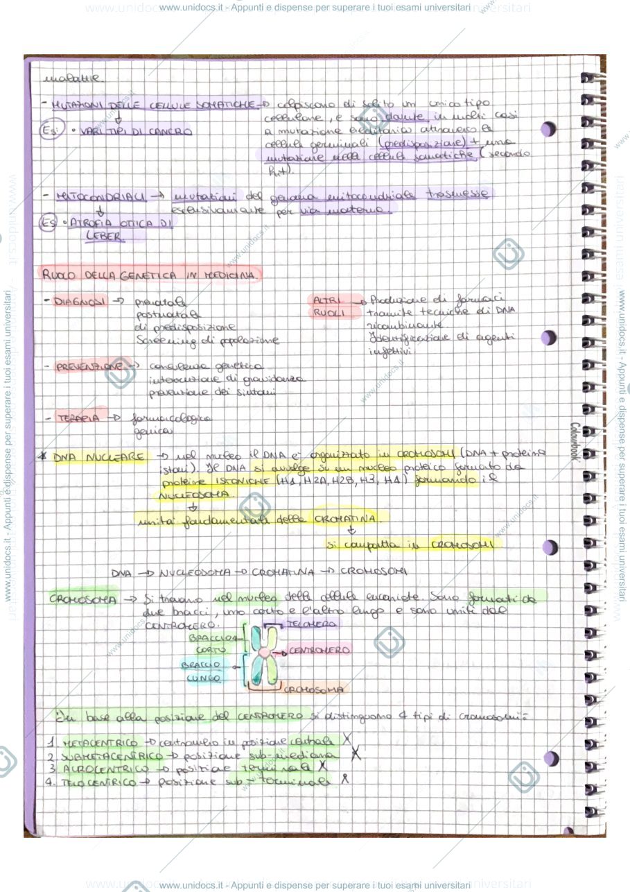 Anteprima pagina 3 — Genetica 