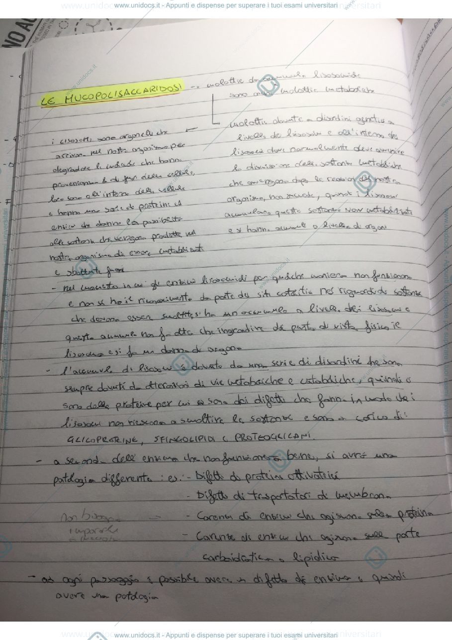 Anteprima pagina 1 — Appunti Biochimica Clinica