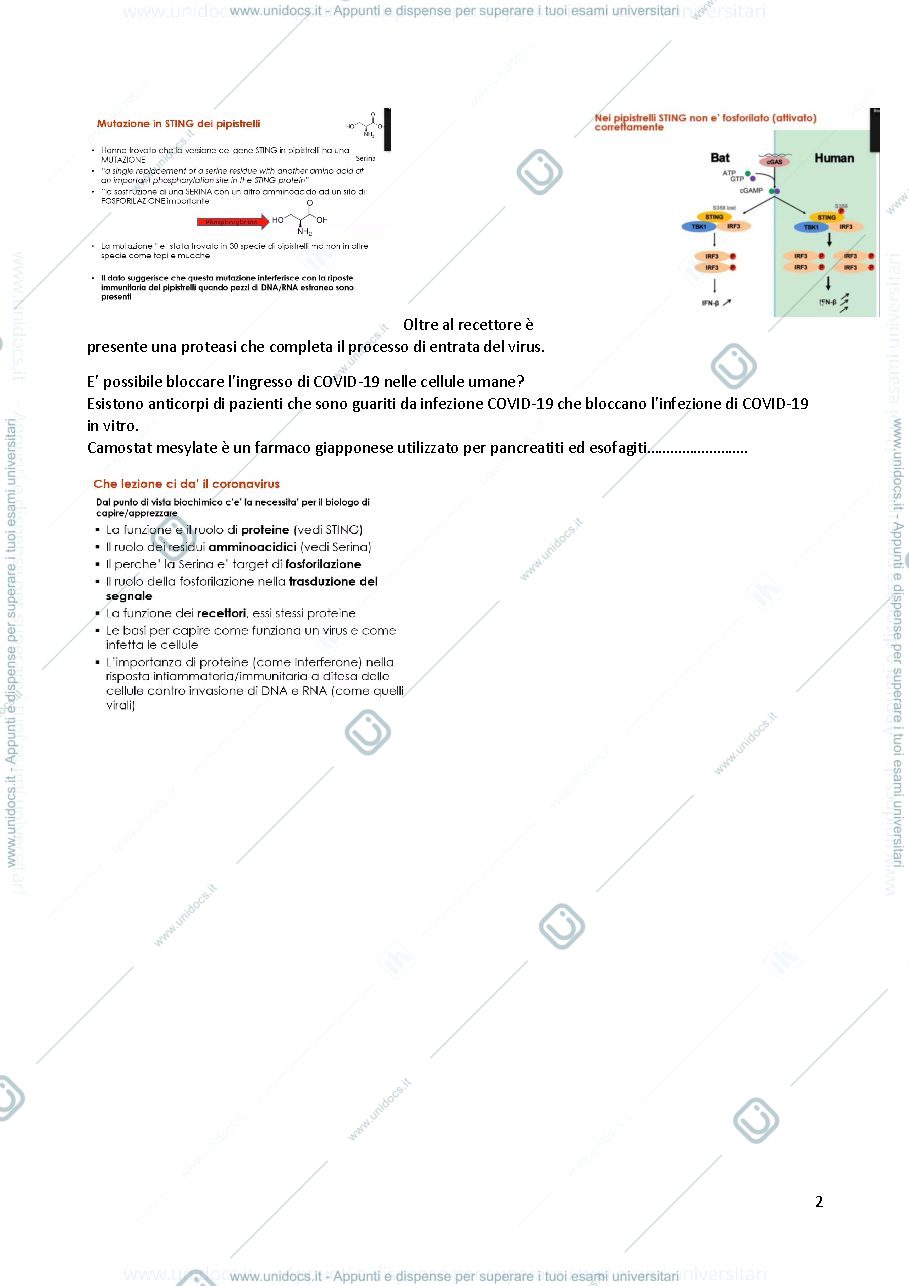 Anteprima pagina 2 — Biochimica