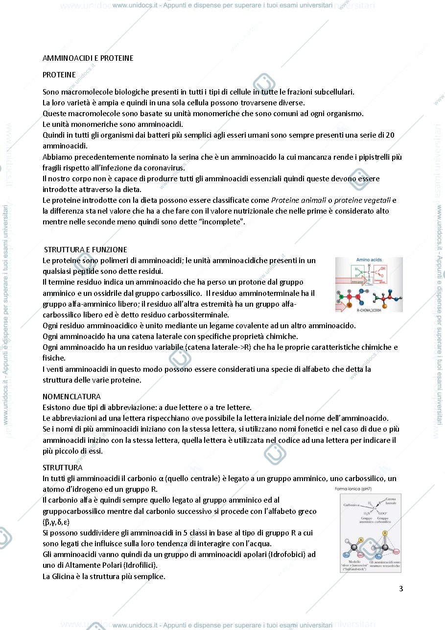 Anteprima pagina 3 — Biochimica