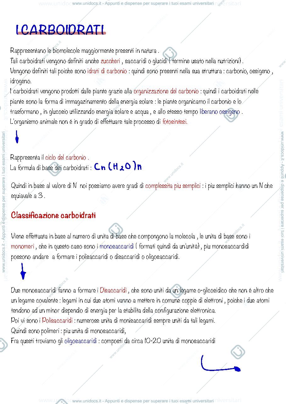 Anteprima pagina 4 — Biochimica Produzioni Animali 