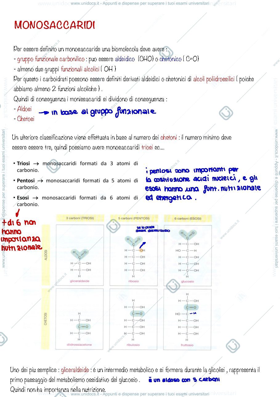 Anteprima pagina 5 — Biochimica Produzioni Animali 