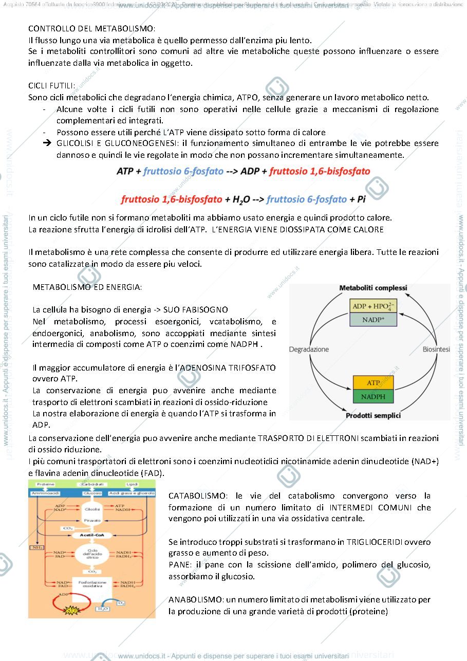 Anteprima pagina 2 — BIOCHIMICA 
